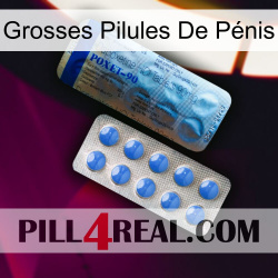 Grosses Pilules De Pénis